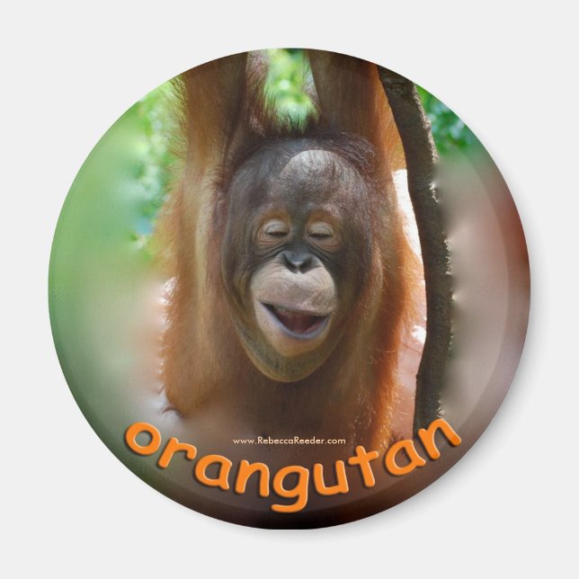 Orangutan Offizieller Fan Magnet (Vorne)