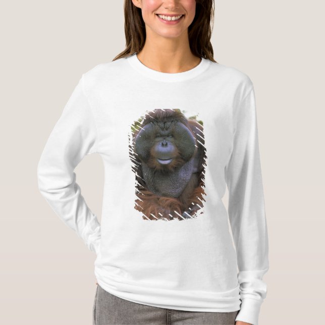 Orangutan Pongo Pygmaeus T-Shirt (Vorderseite)