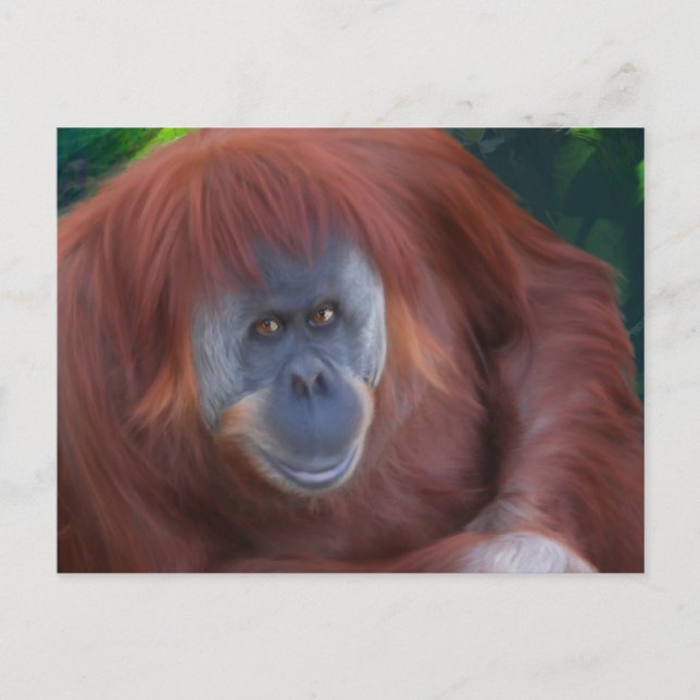 Orangutan Postcard Postkarte (Vorderseite)