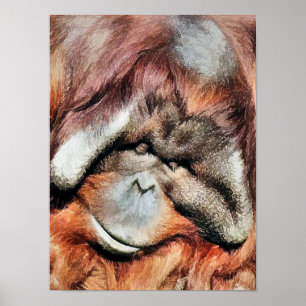ORANGUTAN POSTER