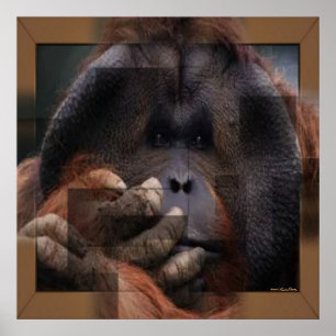 Orangutan Print Poster