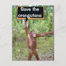 Orangutan Protest-Zeichen Postkarte