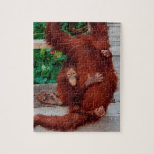 Orangutan Puzzle