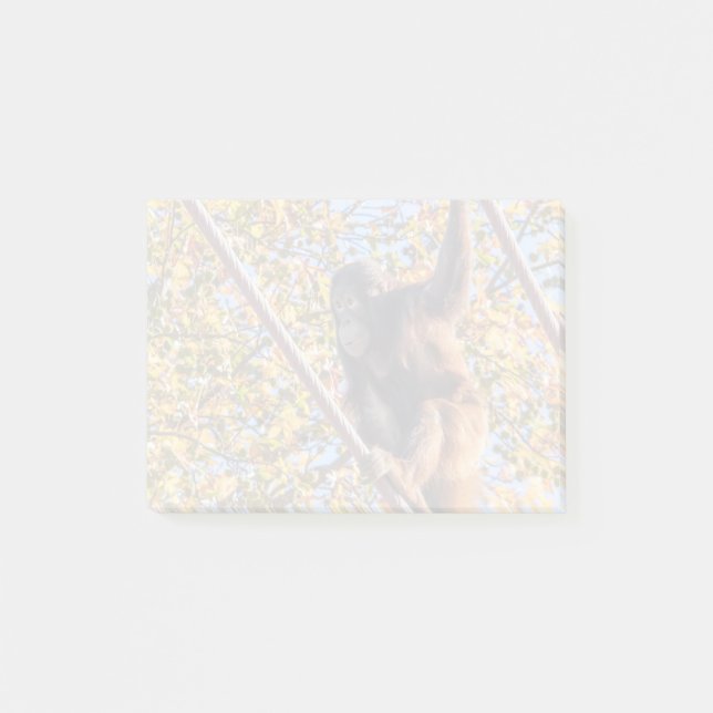 Orangutan Redd in den Post-it-Notes des Nationalpa Post-it Klebezettel (Vorderseite)