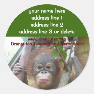 Orangutan Rescuated Wildlife Wohltätigkeit Runder Aufkleber