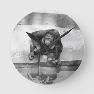Orangutan Runde Wanduhr