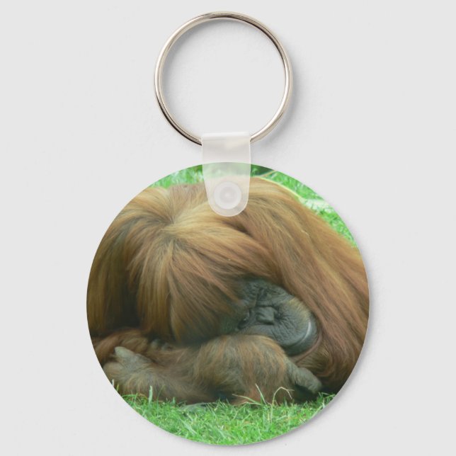 Orangutan Snoozing Schlüsselanhänger (Vorderseite)