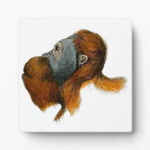 Orangutan Tabletop Plaque mit Easel
