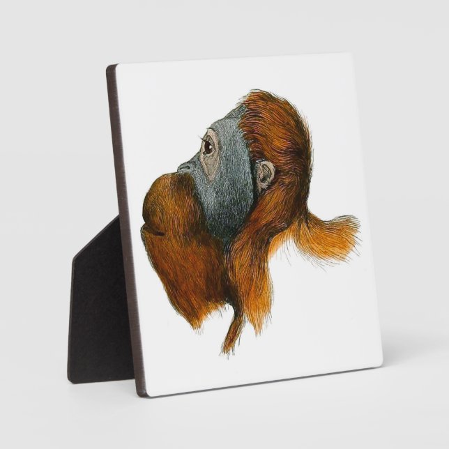 Orangutan Tabletop Plaque mit Easel Fotoplatte (Vorderseite)