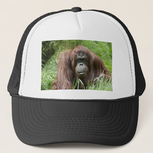Orangutan Truckerkappe (Vorderseite)