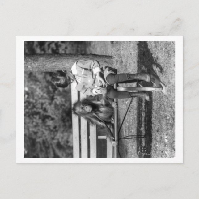 Orangutan und Junge im Nationalen Zoofoto Postkarte (Vorderseite)