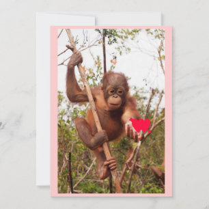 Orangutan Valentine Cards Feiertagskarte