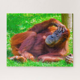 Orangutane. Puzzle