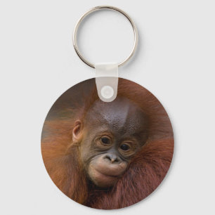 Orangutang baby schlüsselanhänger
