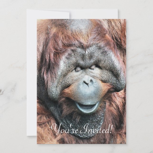 ORANGUTANS EINLADUNG (Vorderseite)