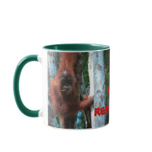 Orangutans Ich mag Rotkehlchen