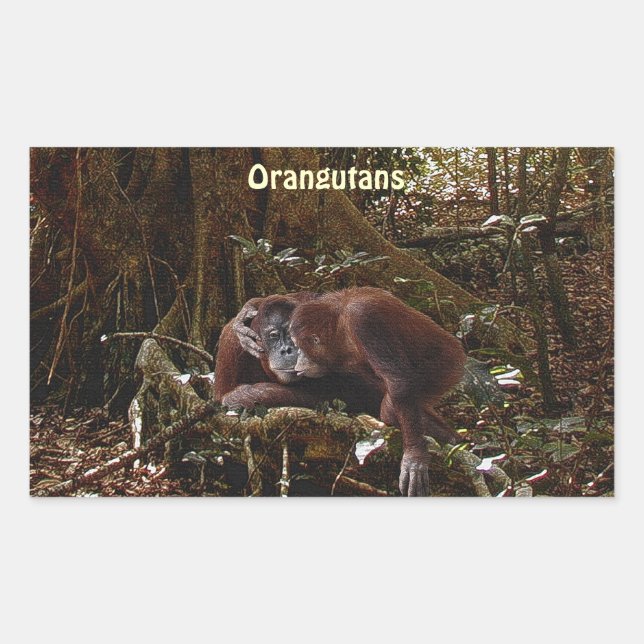 Orangutans & Jungle Great Ape Primate Stickers (Vorderseite)