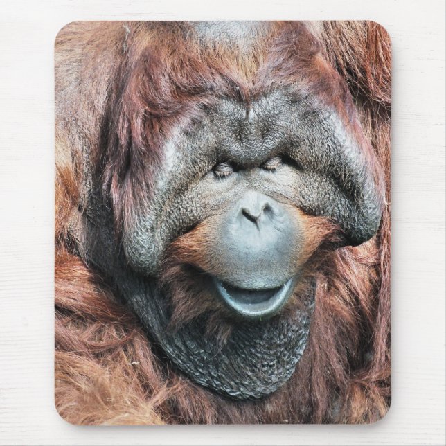 ORANGUTANS MOUSEPAD (Vorne)