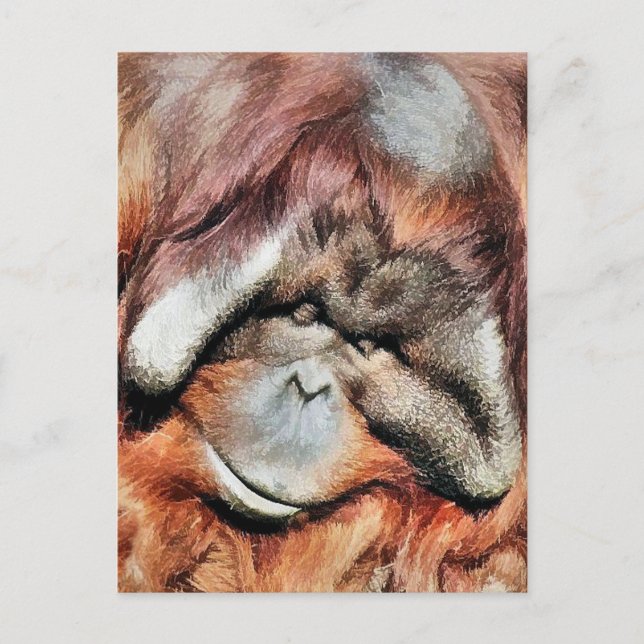 ORANGUTANS POSTKARTE (Vorderseite)