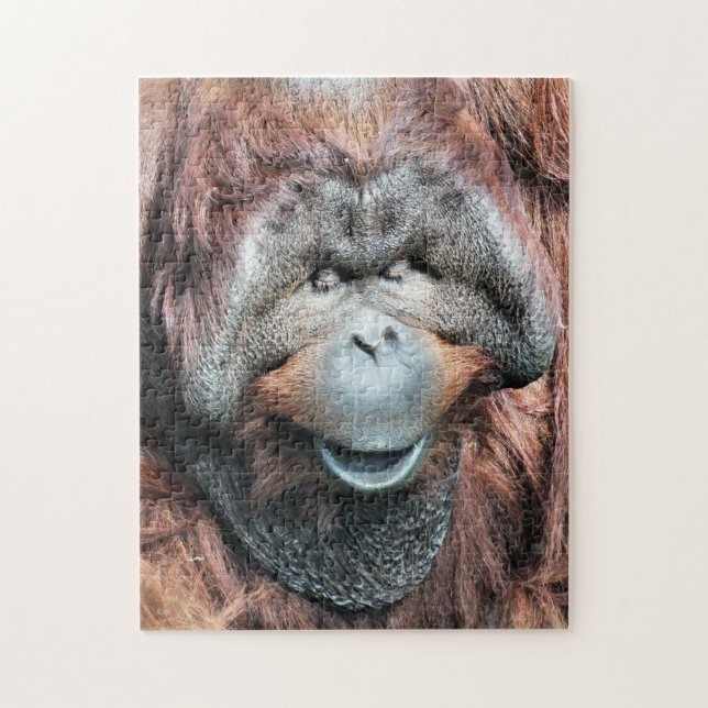 ORANGUTANS PUZZLE (Vertikal)