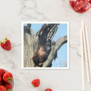 ORANGUTANS SERVIETTE