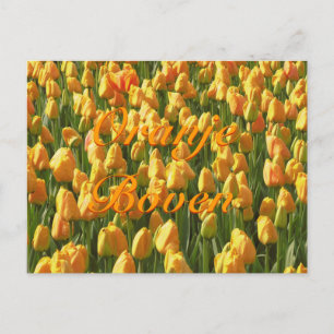 Oranje Boven Orange Tulips Postkarte