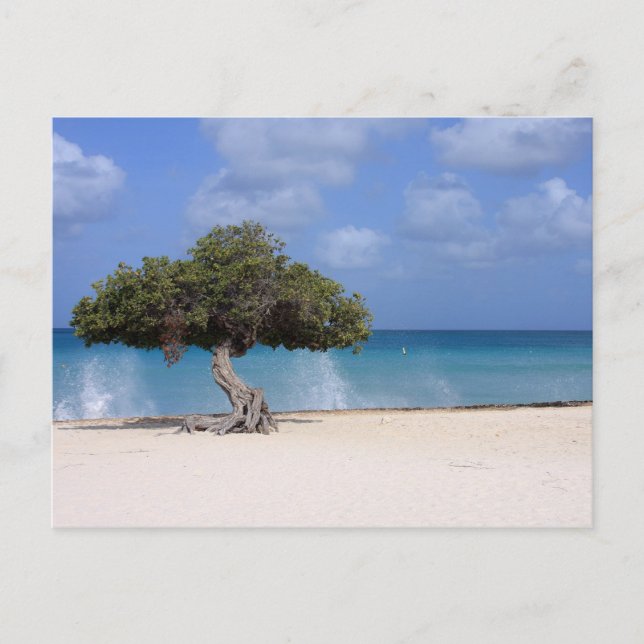 Oranjestad Postkarte (Vorderseite)