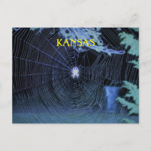 Orb Weaver in der Nacht Postkarte