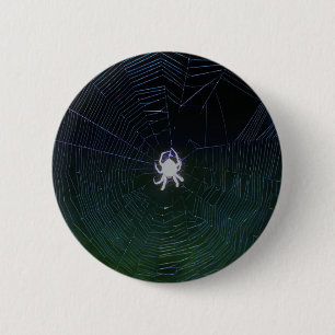 Orb Weaver Spider in der Nacht Button