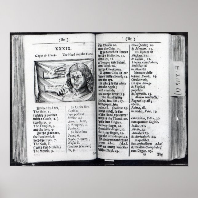 'Orbis Sensualium Pictus' Poster (Vorne)