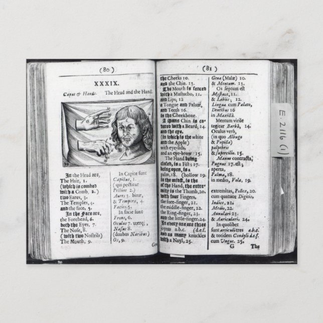 'Orbis Sensualium Pictus' Postkarte (Vorderseite)