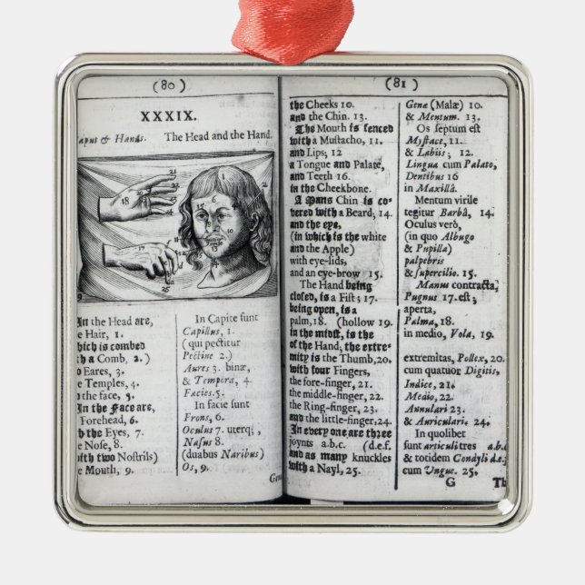 'Orbis Sensualium Pictus Silbernes Ornament (Vorne)