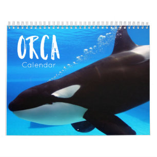 Orca 2022 Kalender lustige und niedliche Orcas