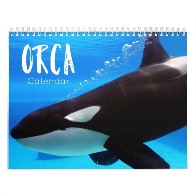 Orca 2023 Kalender lustige und niedliche Orcas (Titelbild)