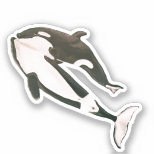 Orca Aufkleber