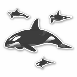 Orca Aufkleber