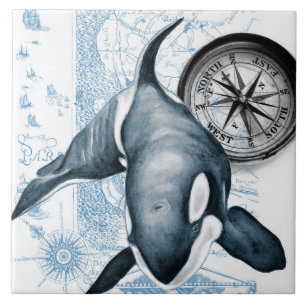 Orca Blue Compass Vintage Karte Fliese