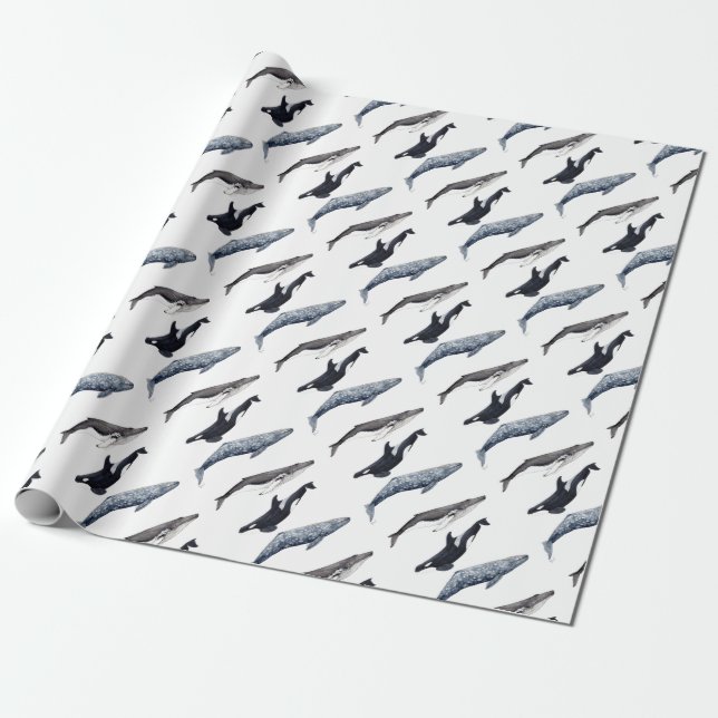 Orca, buckliger Wal und grauer Wal, Geschenkpapier (Ungerollt)