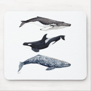 Orca, buckliger Wal und grauer Wal, Mousepad