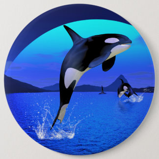 Orca Button