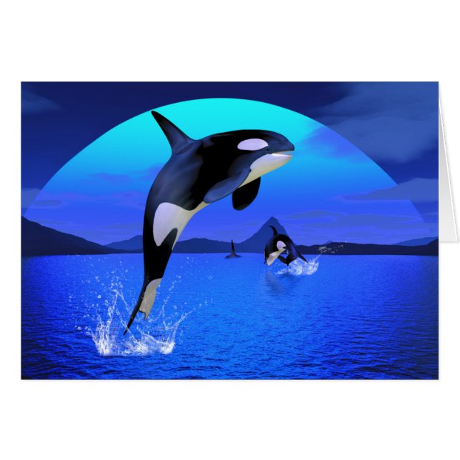 Orca Card (Vorderseite (Horizontal))