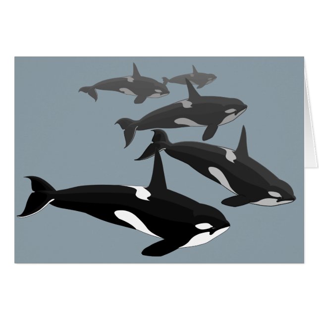 Orca Cards Personalisiert Killer Whale Kunst, Dich (Vorderseite (Horizontal))