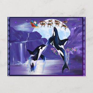 Orca Christmas Feiertagspostkarte