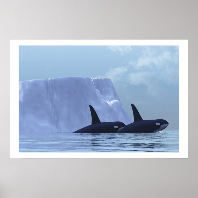 ORCA DRUCKEN POSTER (Vorne)