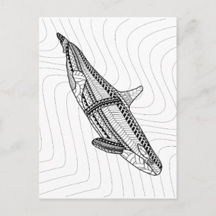 Orca Erwachsene Farbgebung Postkarte
