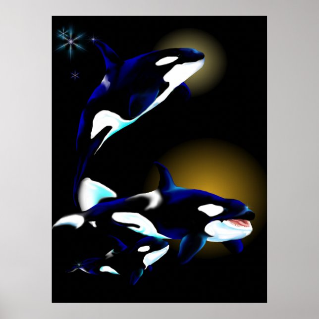 Orca Family Poster (Vorne)