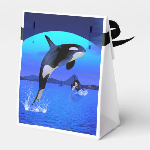 Orca Geschenkschachtel