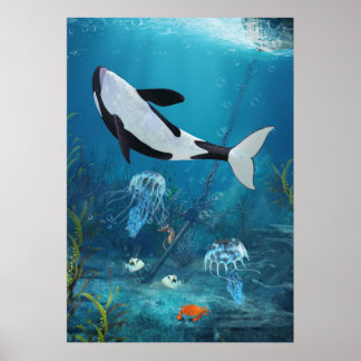 Orca II Poster