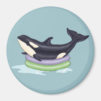 Orca im Swimmingpool Magnet