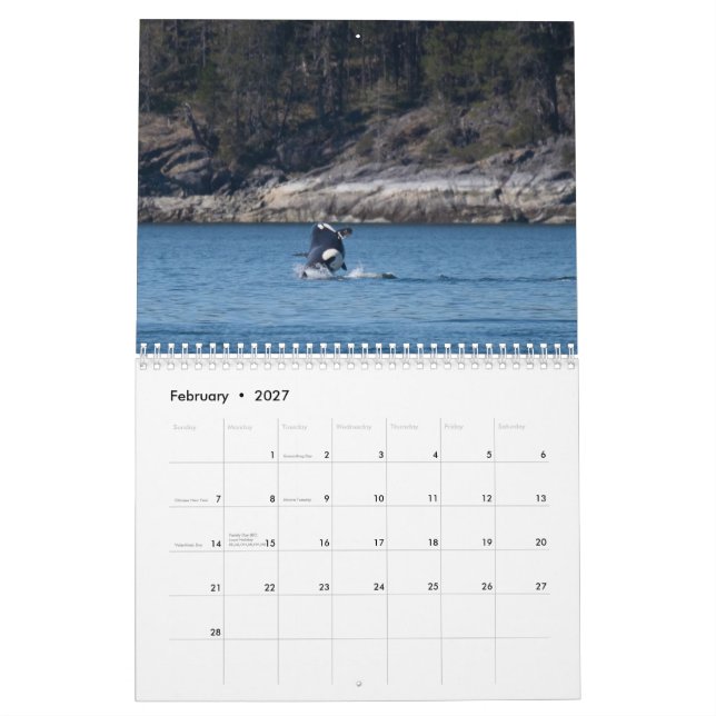 Orca-Kalender 2022 Kalender (Feb 2027)
